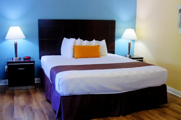 Palm Tropics Motel image 16